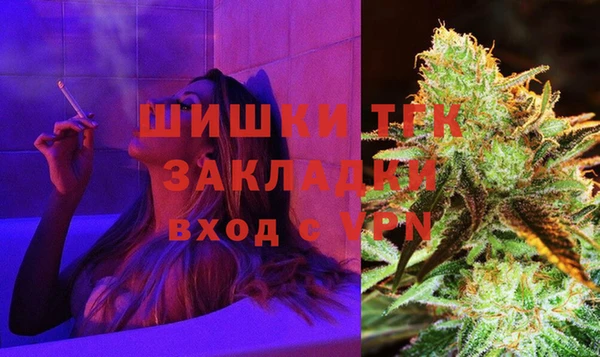 дживик Надым